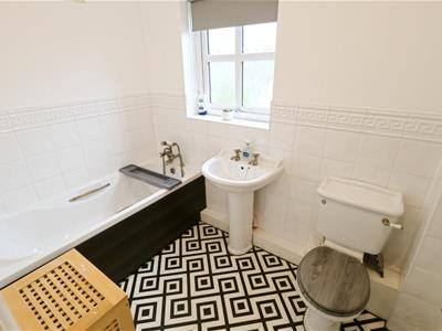 Picture 14
